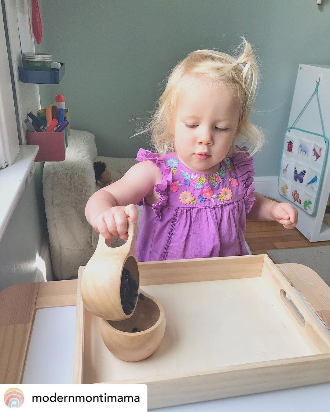 Wooden Pouring Set Cups Montessori