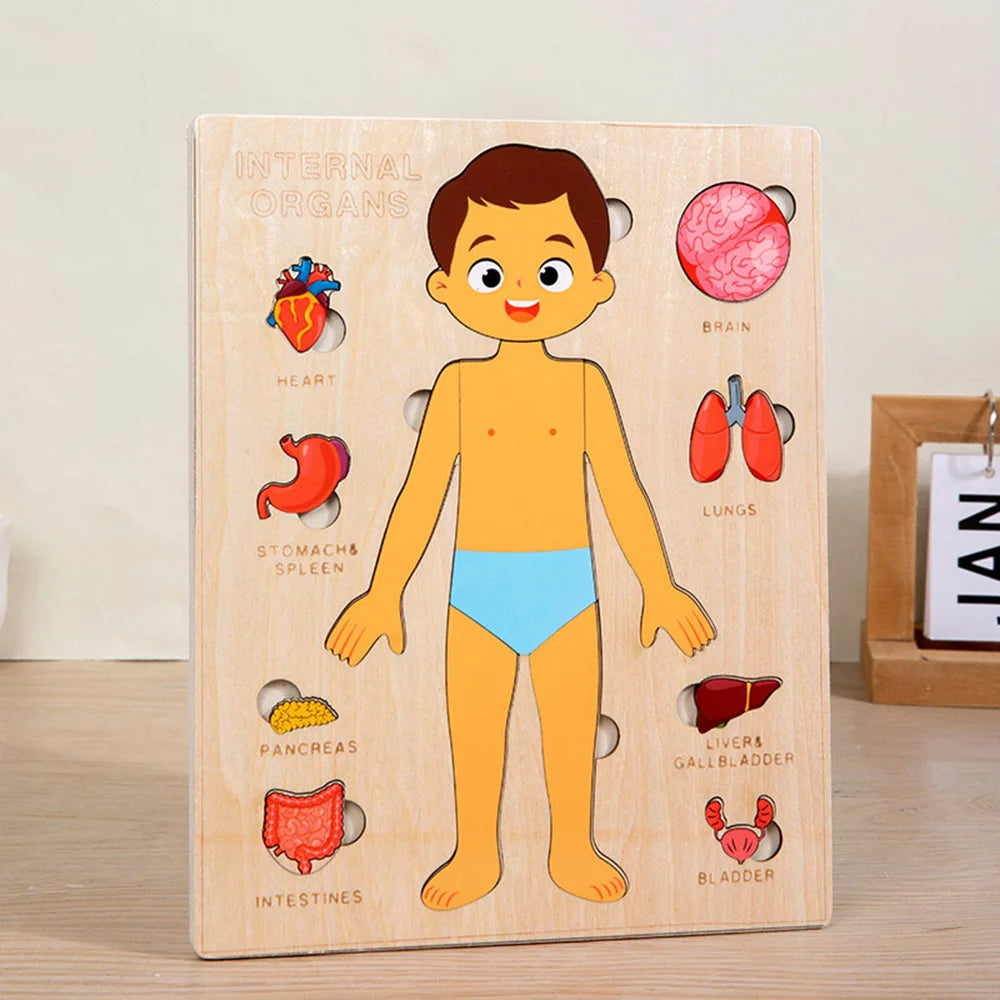 Wooden Body Puzzles for Kids, Toddler Montessori 14 Pieces Boy Anatomy Puzzle, Human Body Learning Toy with Internal Organs Early STEM Educational Toy for Boys and Girls Ages 3 4 5 6 Years Old