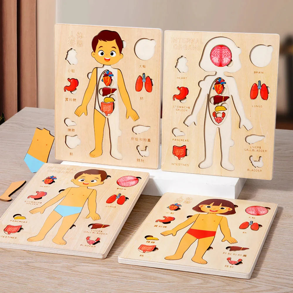 Wooden Body Puzzles for Kids, Toddler Montessori 14 Pieces Boy Anatomy Puzzle, Human Body Learning Toy with Internal Organs Early STEM Educational Toy for Boys and Girls Ages 3 4 5 6 Years Old