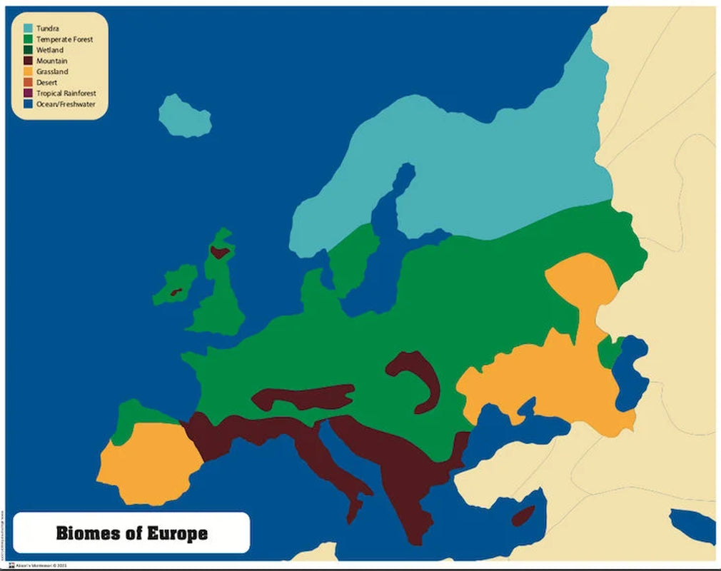 Wooden Europe Biomes Puzzle Map | Montessori Geography