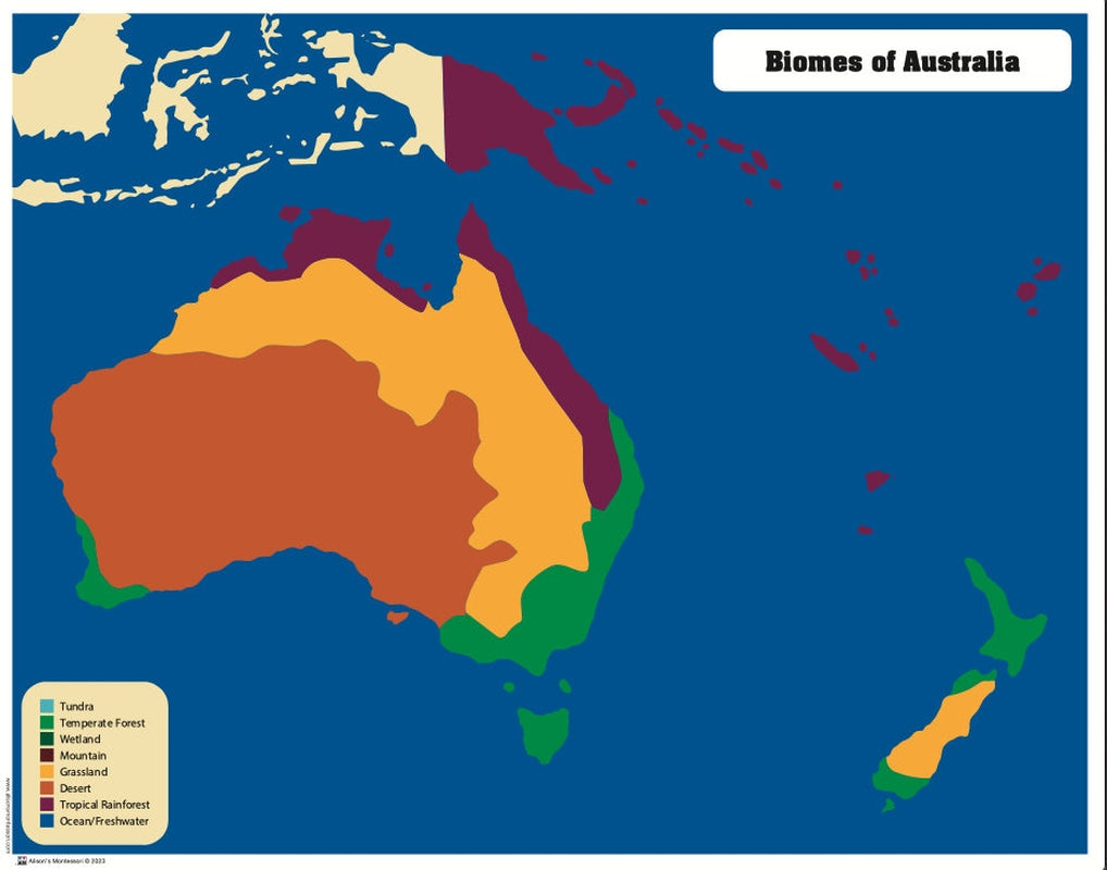 Wooden Australia Biomes Puzzle | Montessori Geography Material