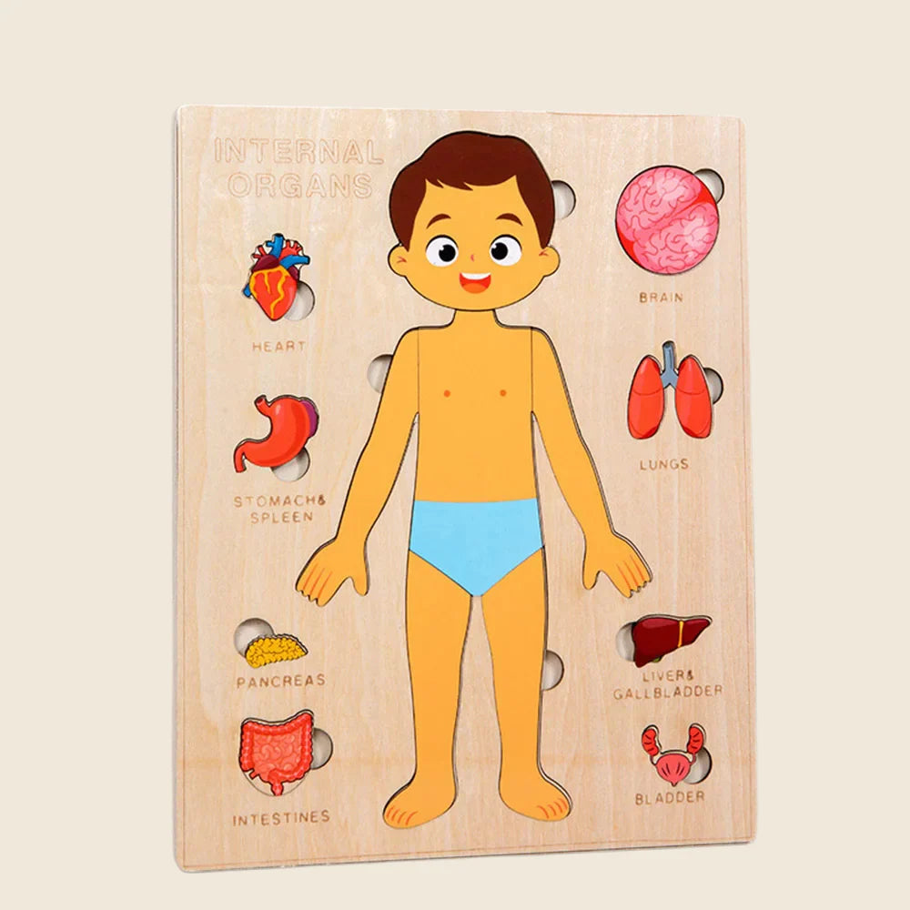 Wooden Body Puzzles for Kids, Toddler Montessori 14 Pieces Boy Anatomy Puzzle, Human Body Learning Toy with Internal Organs Early STEM Educational Toy for Boys and Girls Ages 3 4 5 6 Years Old