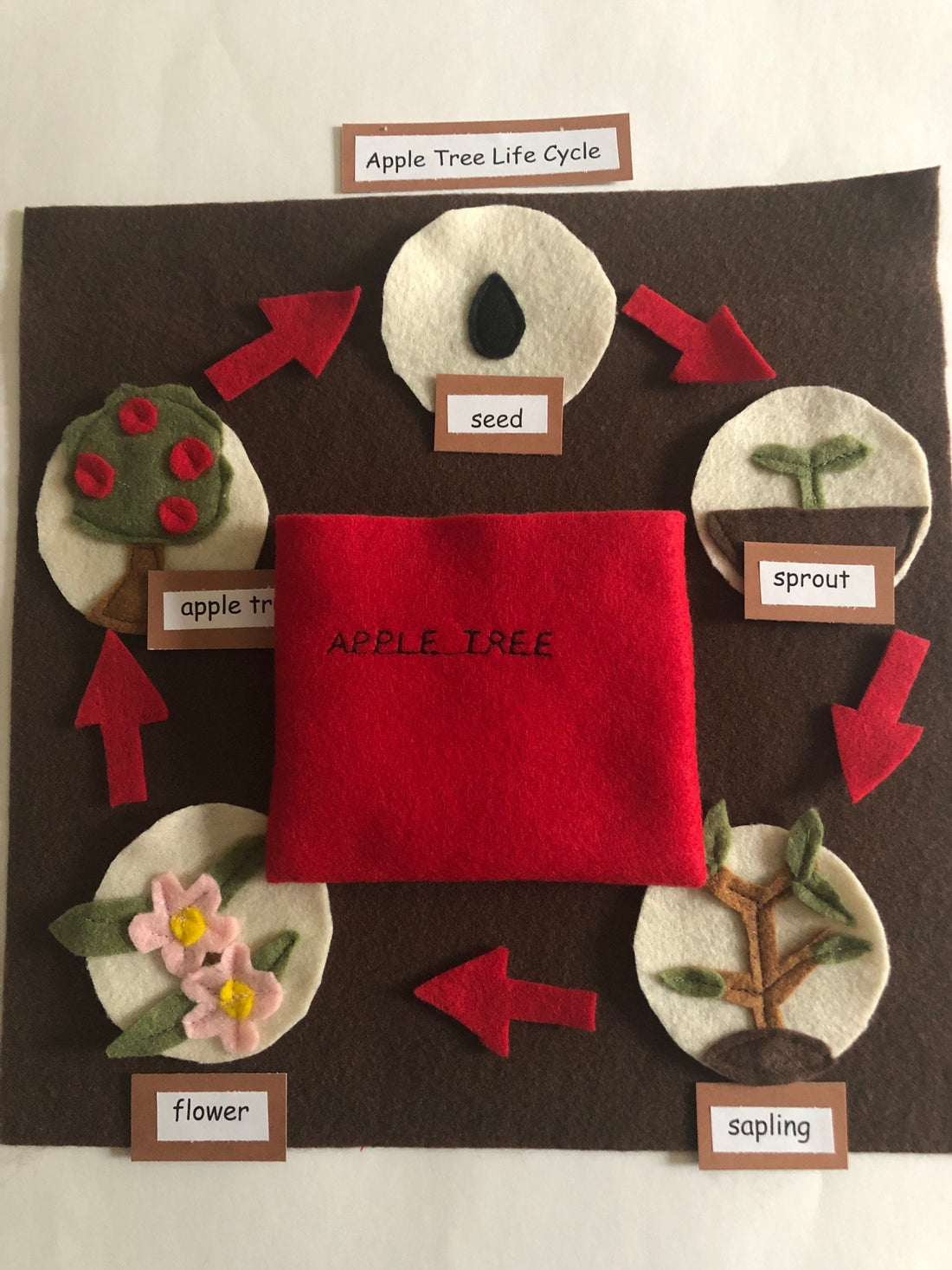 Montessori Lifecycle Apple Tree