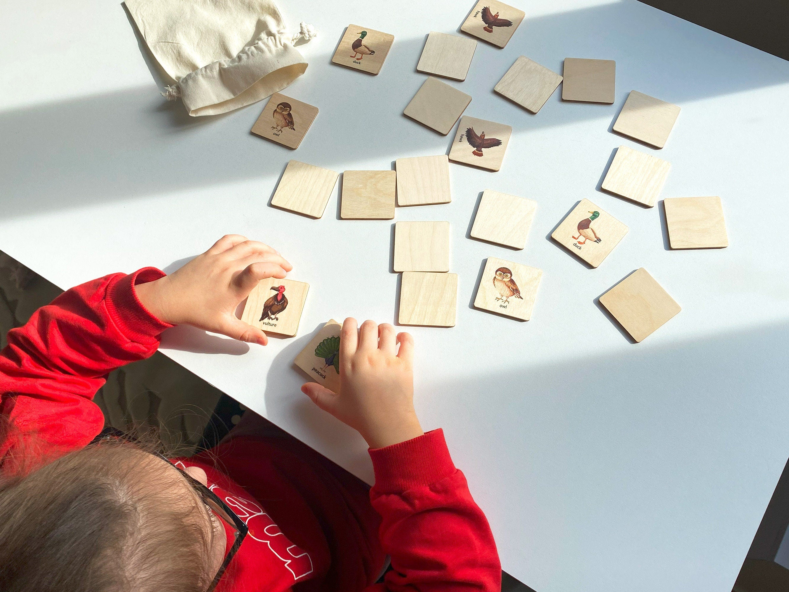 Montessori Wooden Birds Memory Game, 1 2 3 4 Year Old Montessori Materials, Wooden Flash Cards, Homeschool Gift, Toddler Birthday Boy Gift
