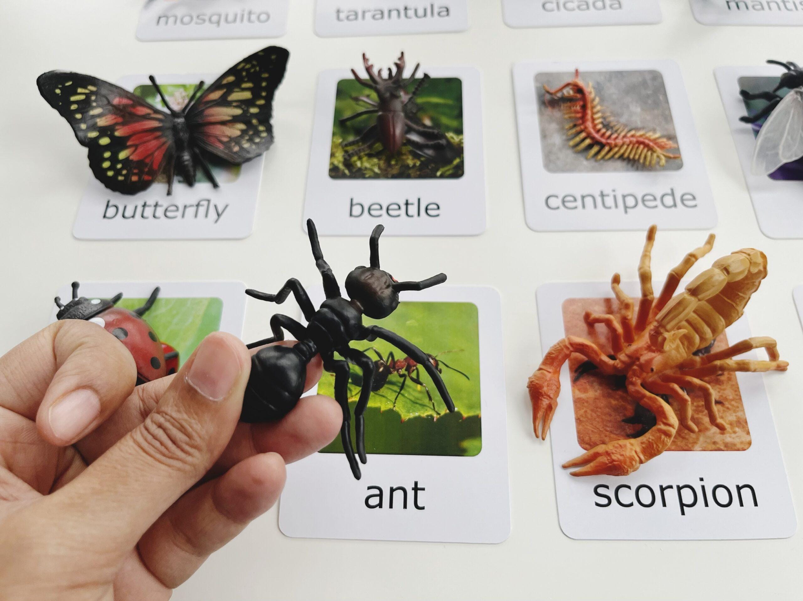 Montessori Insects Matching Set – 15 Figurines with Cards