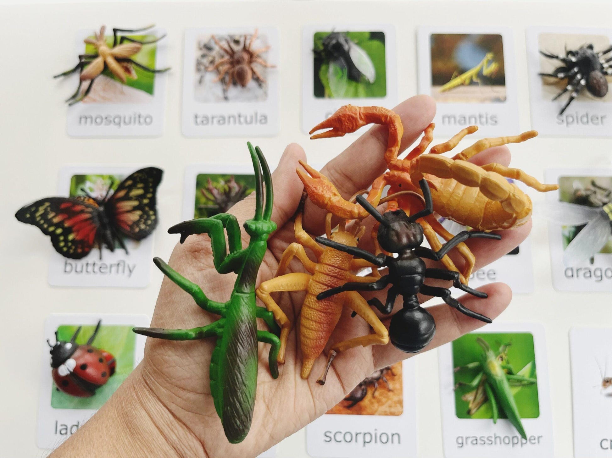 Montessori Insects Matching Set – 15 Figurines with Cards