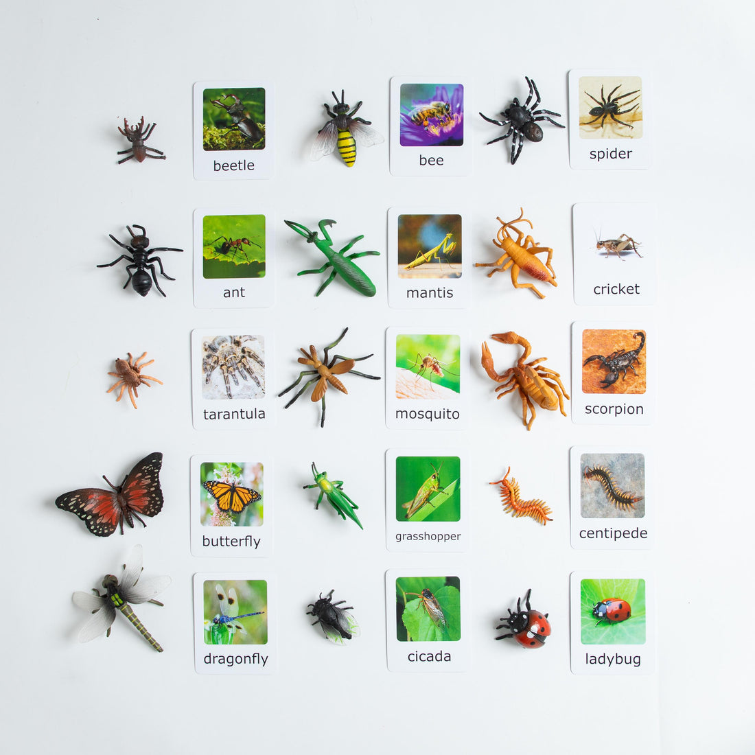 Montessori Insects Matching Set – 15 Figurines with Cards